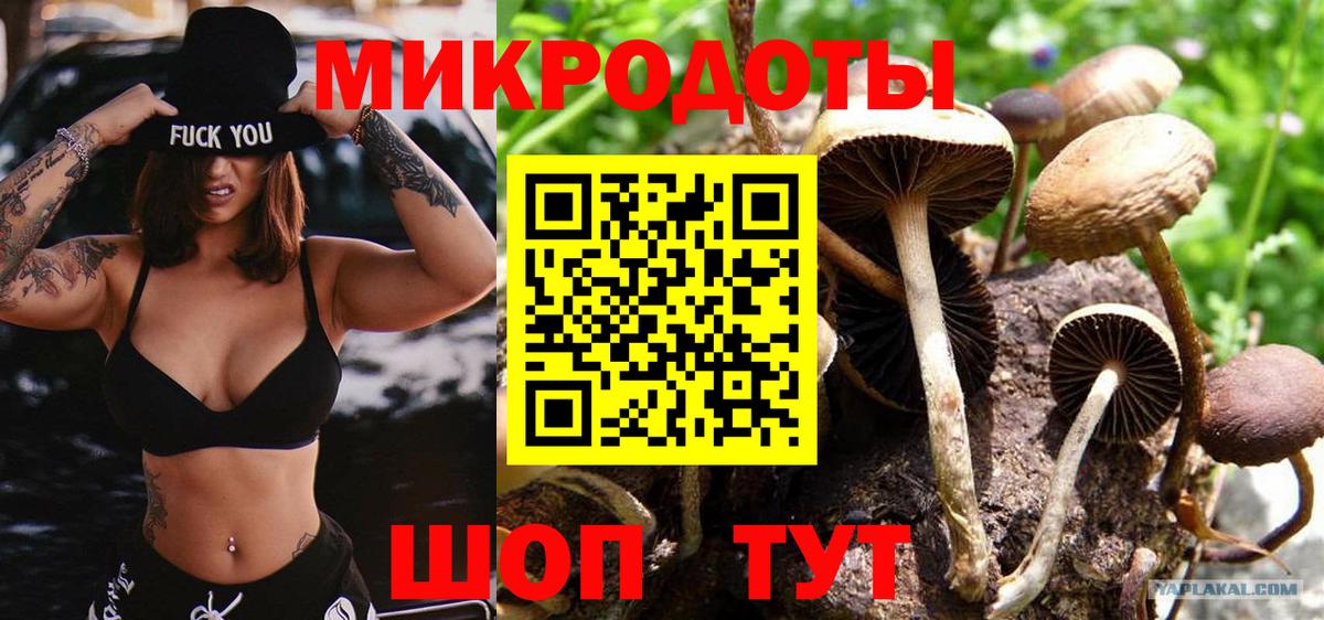 Галлюциногенные грибы Magic Shrooms Зеленогорск