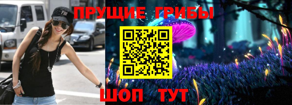 как найти   Галлюциногенные грибы MAGIC MUSHROOMS  Вход с VPN  Зеленогорск 